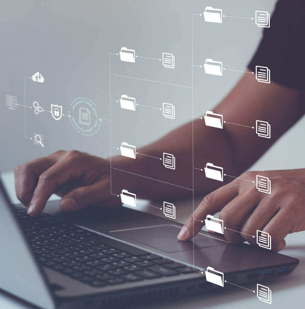 組織体制と情報管理の確立